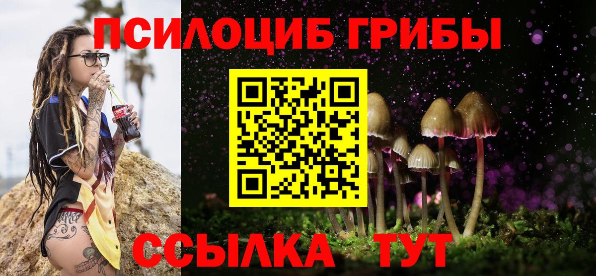 Псилоцибиновые грибы ЛСД Заринск