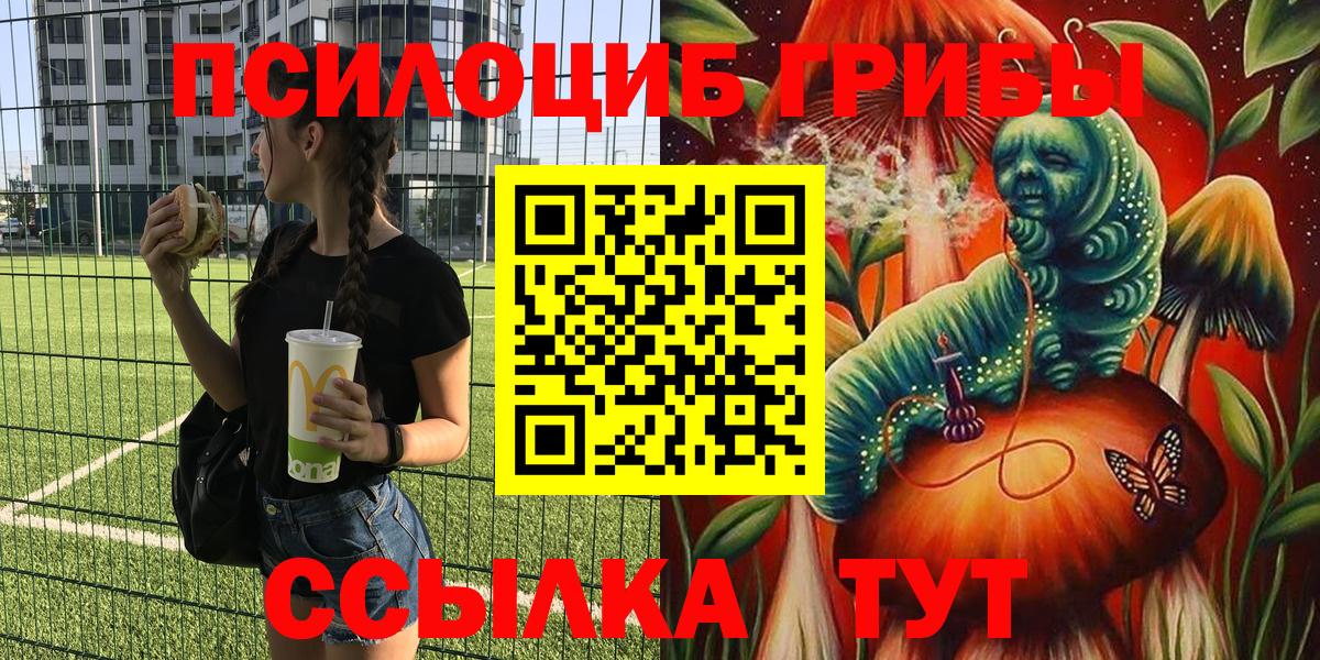 Заринск  купить наркотики цена  Вход с VPN  Галлюциногенные грибы Psilocybe 